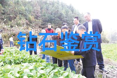 中医药书法茶艺围棋它们如何体现华夏文明