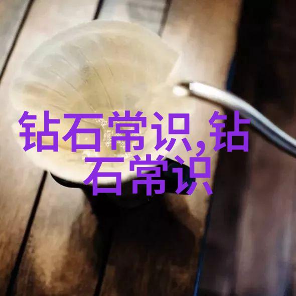 世界技能大赛中的璀璨夺目珠宝加工的艺术与技术