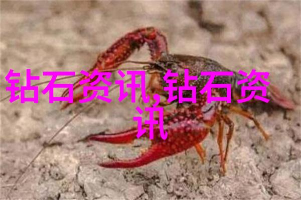 文明与文化的相通之处与差异探究