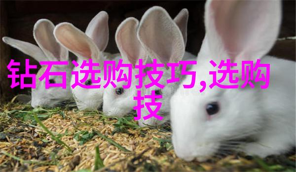 了解中国传统文化的重要性我为何热爱这段古老的历史揭秘中国传统文化的魅力