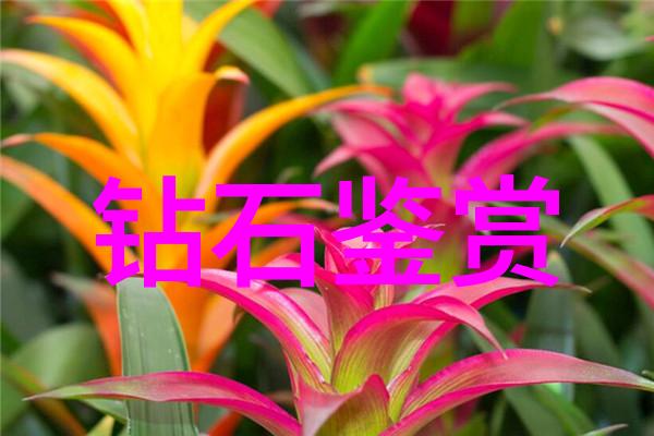 宝石之谜古老工艺的璀璨秘密