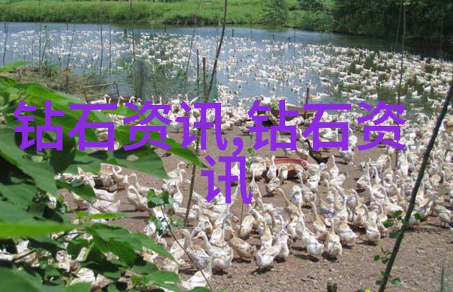 翡翠的灵韵揭秘绿意盎然的艺术与自然之谜