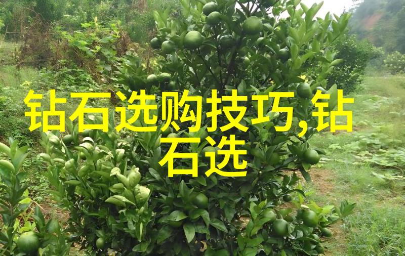 实践与理论工商管理专业学生中哪个更为关键