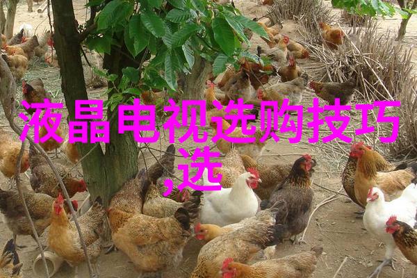 4房播播我家的秘密广播站