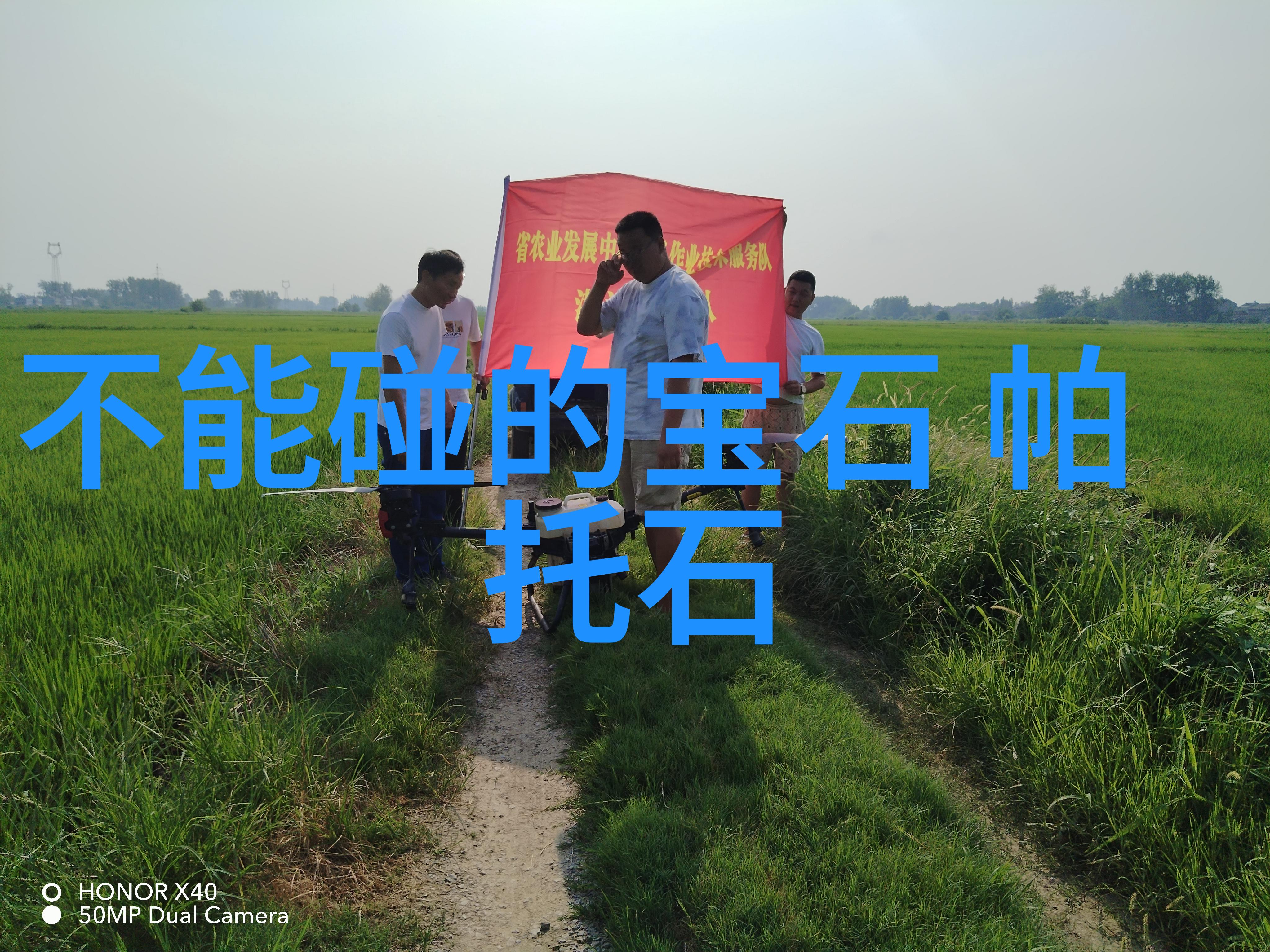 钻石鉴赏之旅揭示宝石之王的神秘魅力