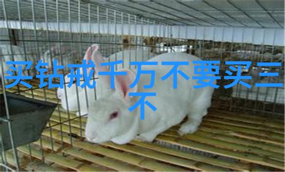 璀璨钻石背后的秘密从地下宝藏到时尚盛宴