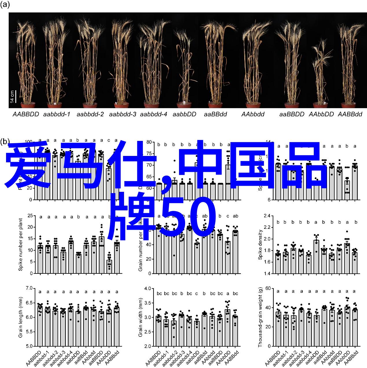 在商业交易中世界 第三大的 钻石会因为其稀缺性而产生什么影响力吗