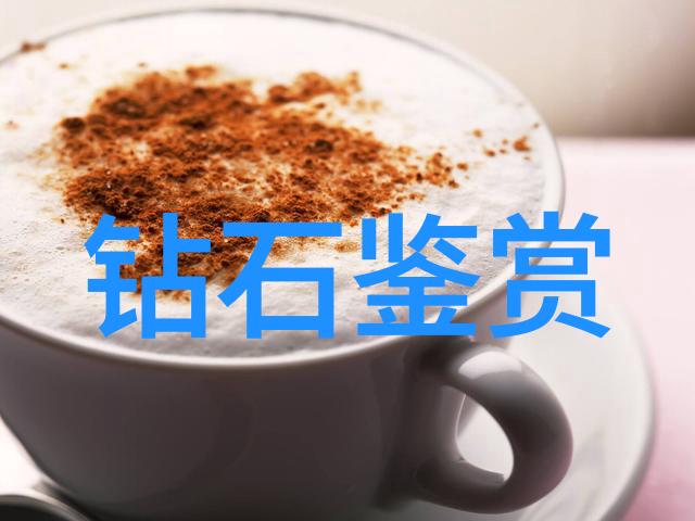 爱情传说-绽放的梦想一段关于玫瑰的传奇
