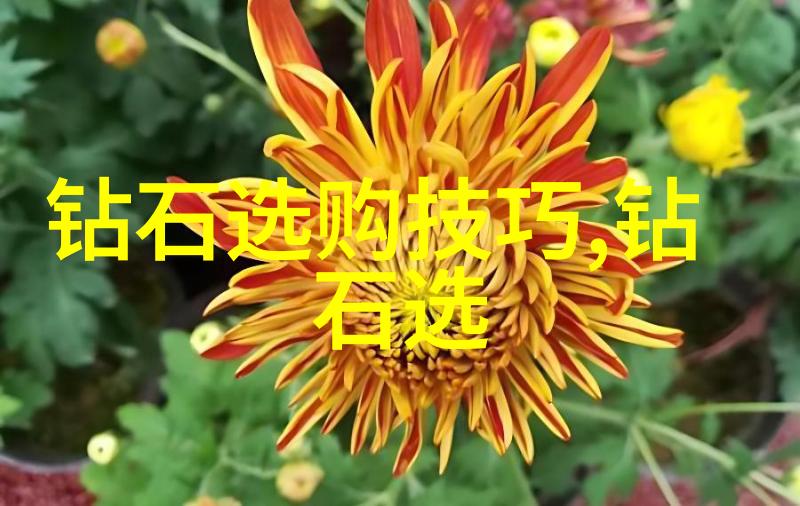 翡翠品质评估色泽纯度缺陷