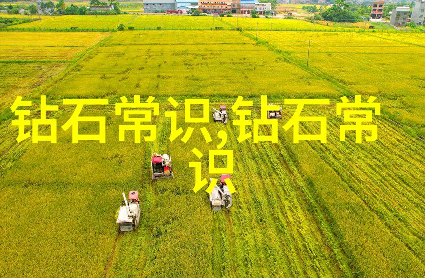 文化的多维度探究理解文化的深层次含义
