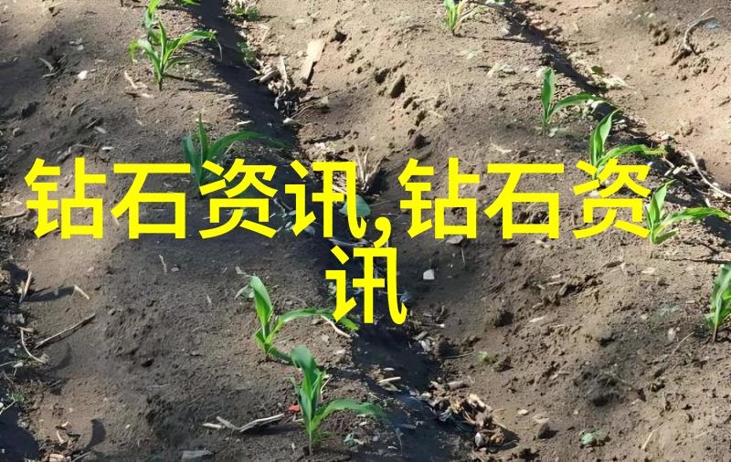 花园里的秘密战役
