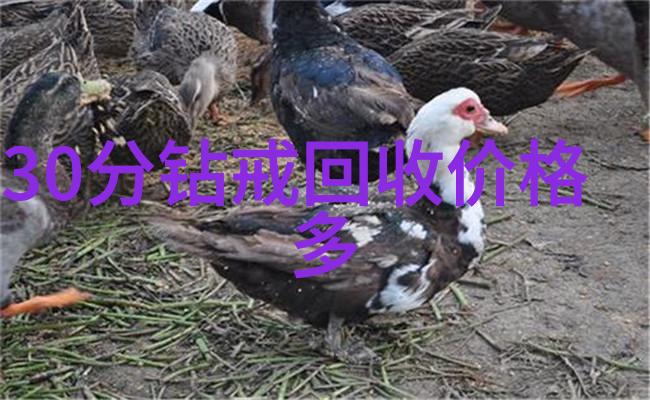 工艺精髓从原料到成品的制胜之路