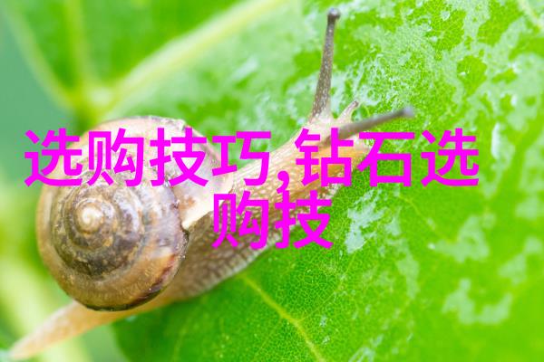 故事大全-穿越千年一本书中的无数奇幻冒险