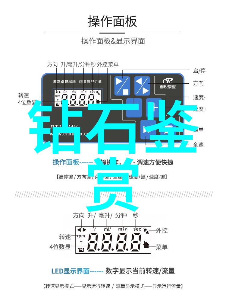 选择理想的专业方向如何为未来做好准备