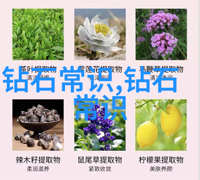 材质选择指南探索不同材料在裝飾風格上的差異性表達
