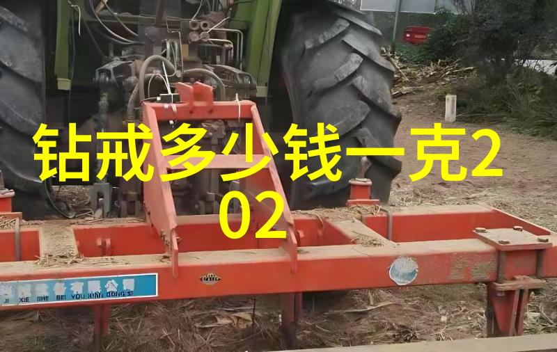 花龙戏凤我的奇幻之旅