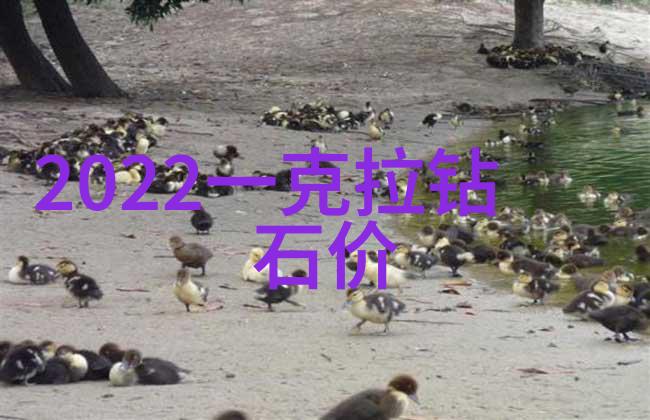创意生活-手工艺品制作点缀生活的独特风采