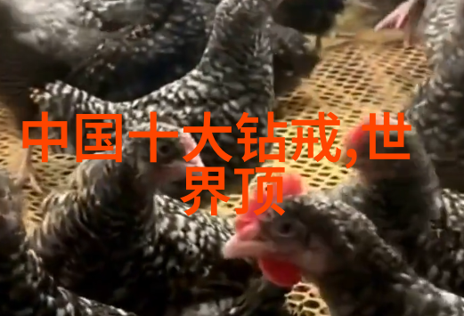 工艺的种类-精雕细琢探索工艺艺术的多样面貌