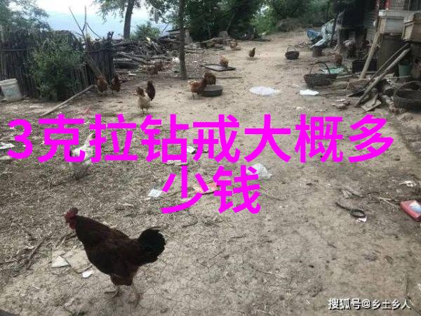 中华古韵探秘50个传统文化小知