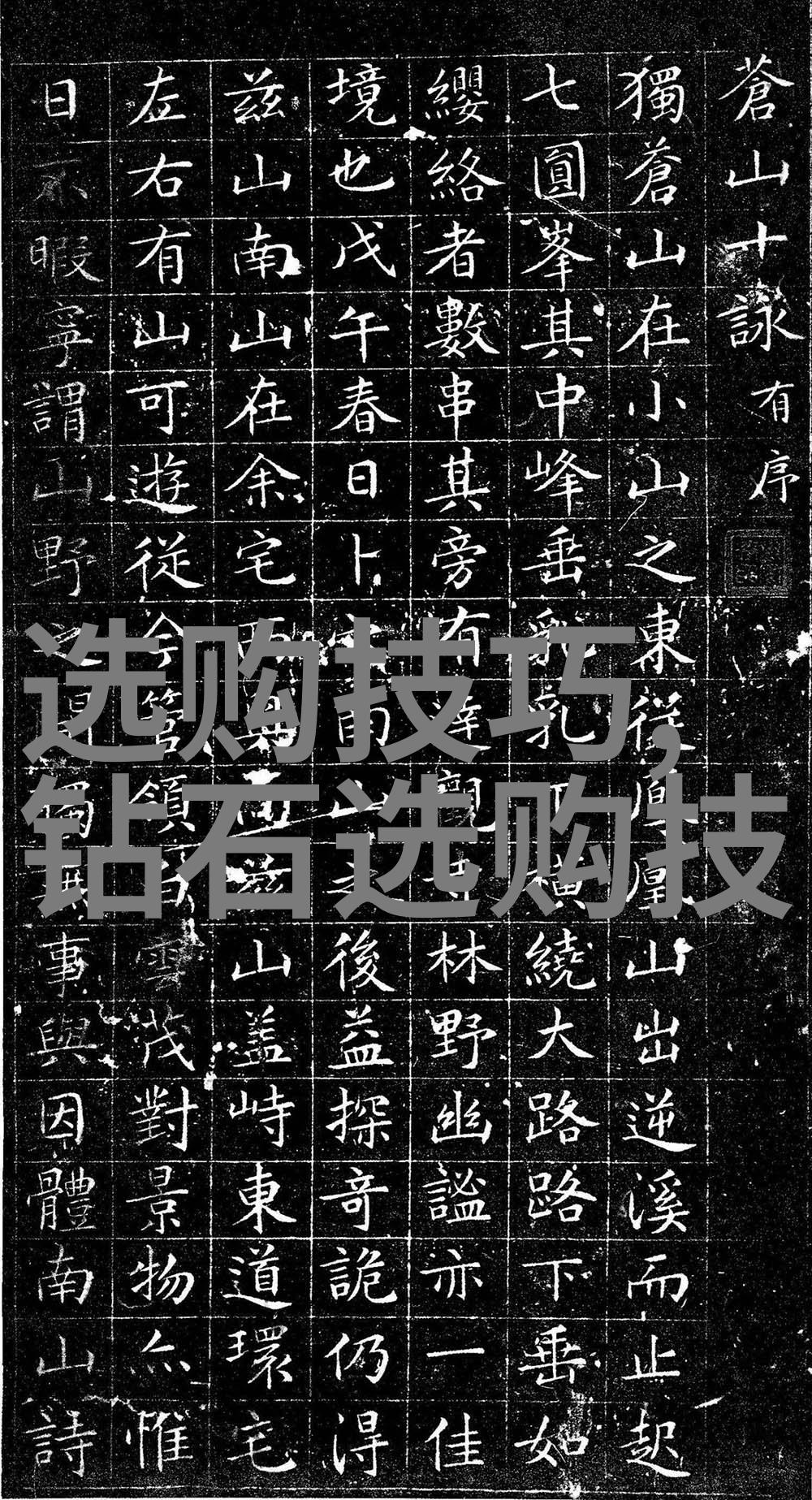 开拓国际视野对外汉语专业的语言传播与文化交流