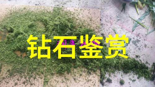 探索中国文化根源传统价值观与现代变迁