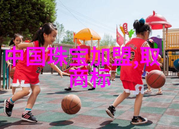 工程管理的智囊团构建未来项目的精英们