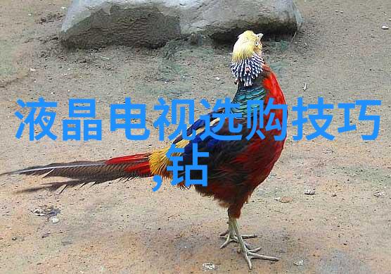 远古入侵第五季 - 穿越时空的阴影揭秘远古入侵第五季的神秘事件