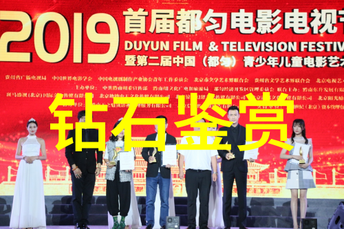 翡翠璀璨冰种辉映珍贵手镯的艺术与价值
