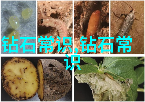 布艺贴画艺术手工布面绘画的美丽展示