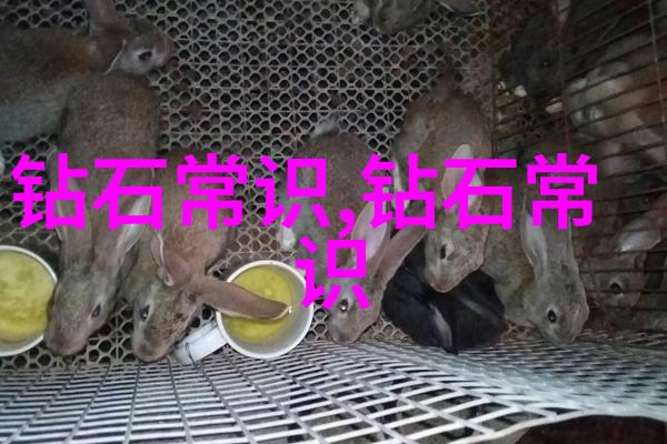 亲子共享时光带着孩子一起做七到十二岁的小作品