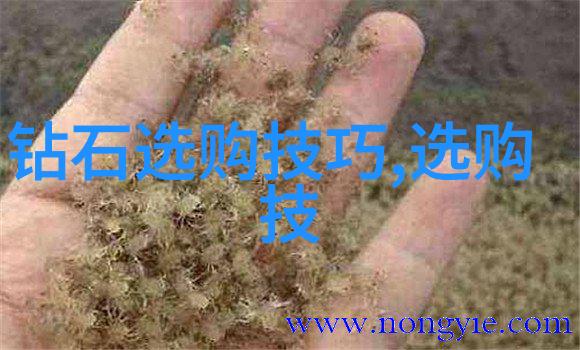 胡萝卜先生的长胡子续编故事魔杖里的秘密世界