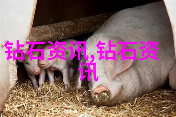 赚钱不难学这些最赚钱的手工艺品设计和制作技巧