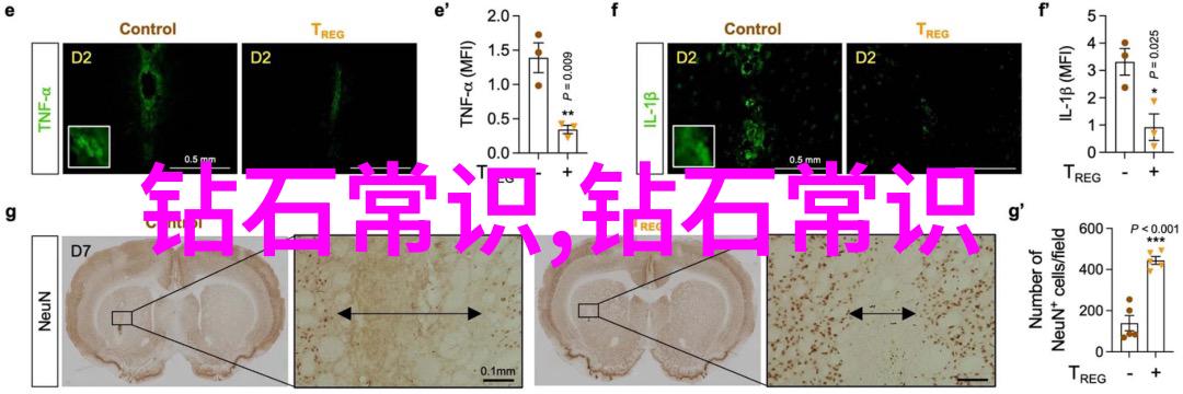 全球足球强队揭秘排名前十的国家之谜