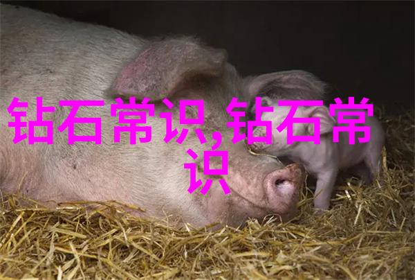 女生从事工艺工程师工作的可行性探讨挑战与机遇共存