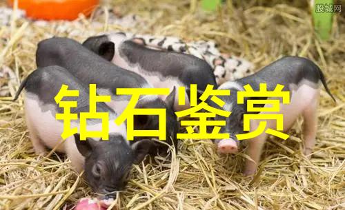 翡翠手镯真假大侦探揭秘那些绿得让人眼睛发亮的谜团