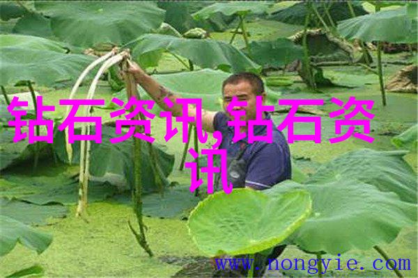 在追求好的专业同时我们还要注意不要忽视了人文关怀吗