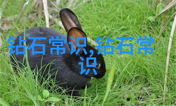 世界技能大赛珠宝加工我是珠宝的魔术师如何在竞技场上打造璀璨夺目的作品