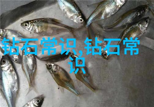 工艺工程师的职业生涯探秘深度分析其工作难点与挑战