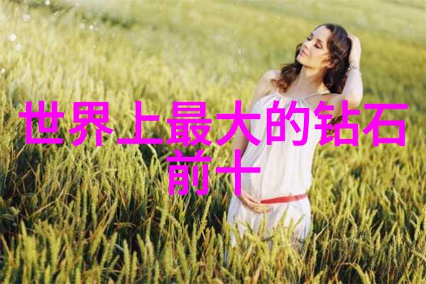 机密工厂揭秘生产线上的神秘分类系统
