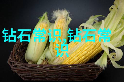 末世天台种菜 - 逆境中的绿意末世天台的自给自足之旅