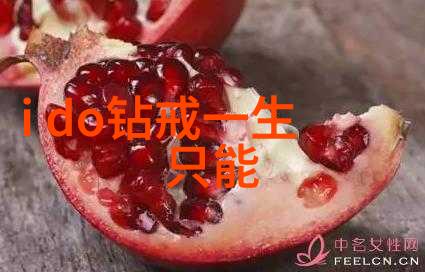 室内艺术设计-精致空间如何通过艺术元素提升居住品质