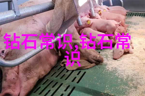 海柳的美丽海柳树的优雅与实用