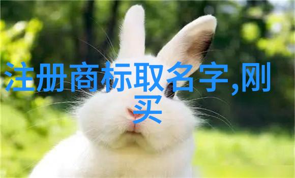 夜晚的孤独守望者一位护士的沉默故事