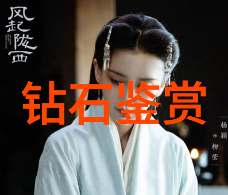 风险评估在审计中的应用实例分析