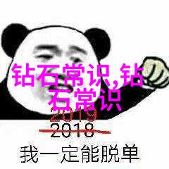 翡翠鉴定原石探索宝石世界的艺术与科技