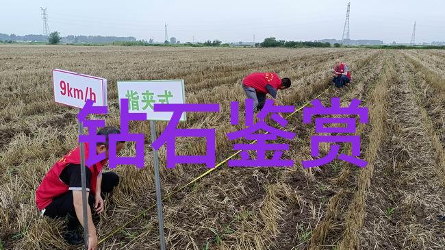 中国地质大学珠宝鉴定专业我来告诉你这所学校的珠宝鉴定专业是怎么回事