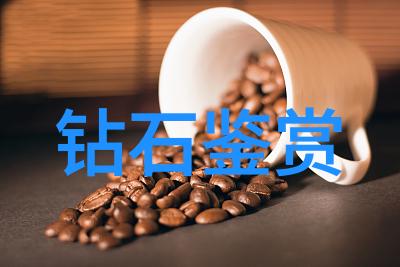 戴帆的航海日记