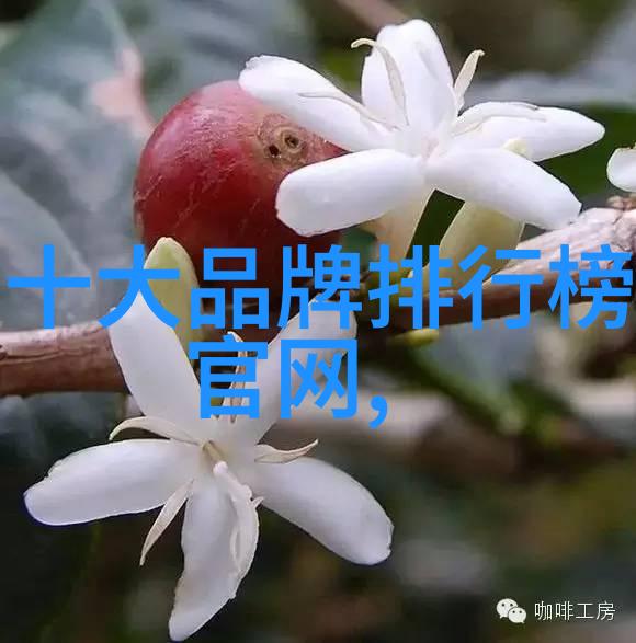 宝石王国揭秘世界十大顶级宝石的故事