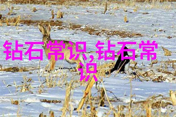 如何看翡翠的种我的宝石新手指南