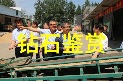 我来教你如何鉴定那块看似精致的冰种翡翠